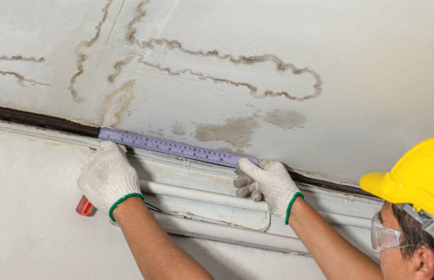 Reliable Mold Remediation contractor in Intervale, NH by Water Damage Irwin